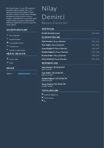 cv indir